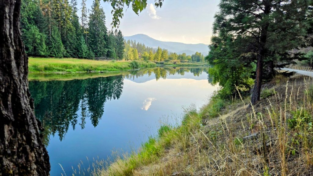 Serene lake reflecting trees